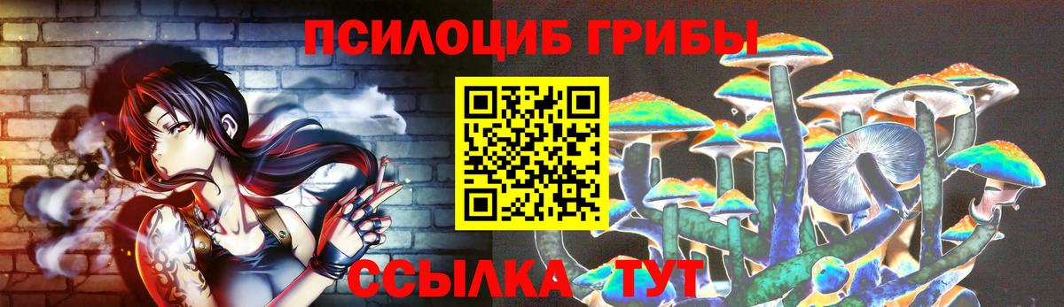 Сердобск  Псилоцибиновые грибы Psilocybine cubensis  Вход с VPN 